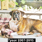 Tyson Shankle 2007-2015